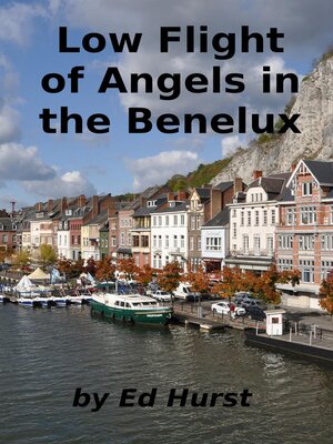 cover image of Low Flight of Angels in the Benelux